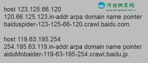百度蜘蛛識別—石家莊網(wǎng)絡公司